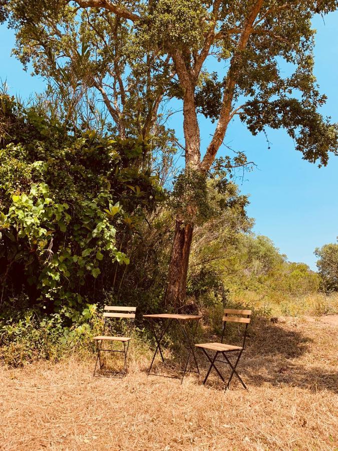 Private Eco Glamping In Aljezur Alfambras Hotel Bagian luar foto